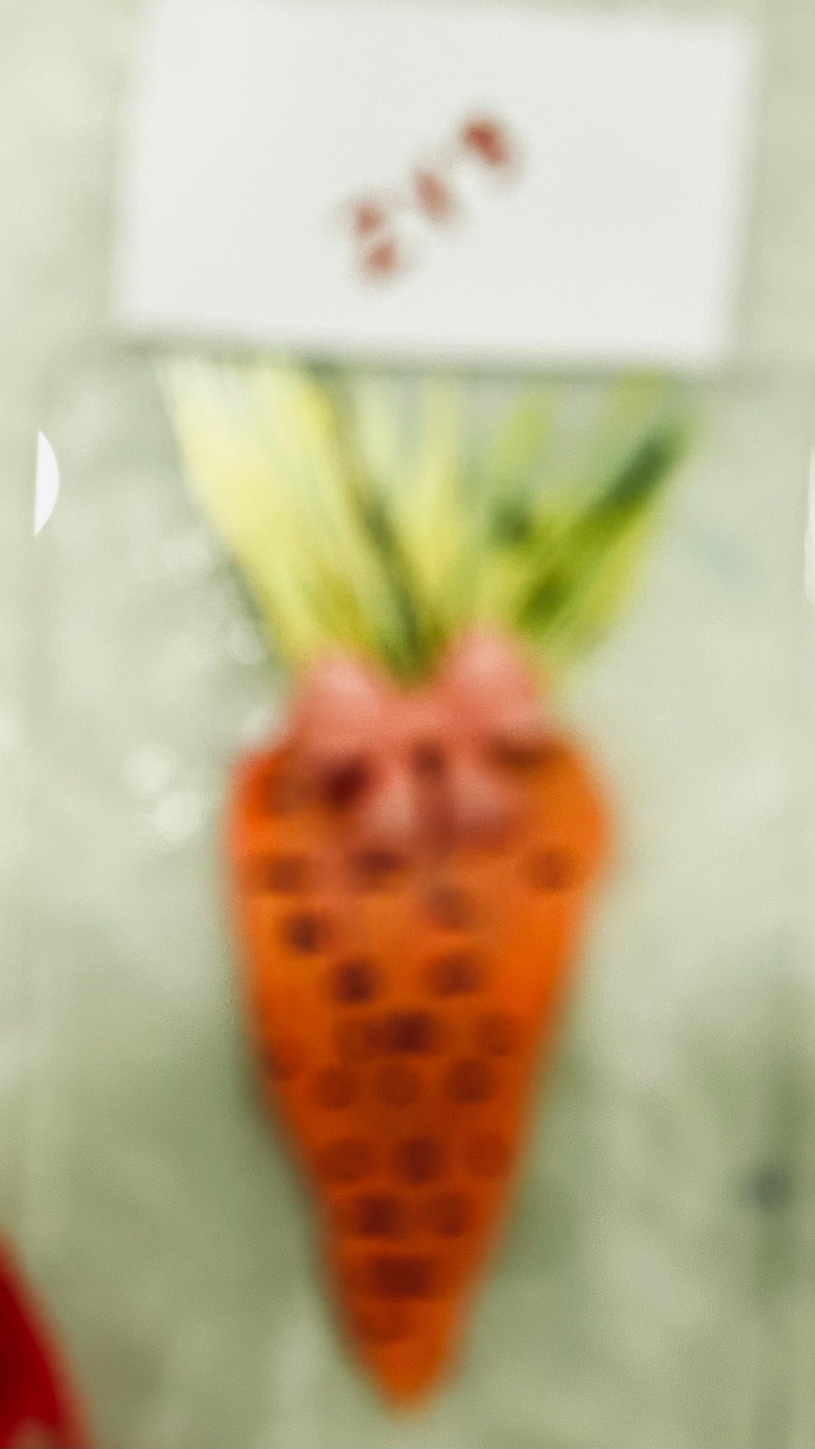Carrots/ pink bow - 1