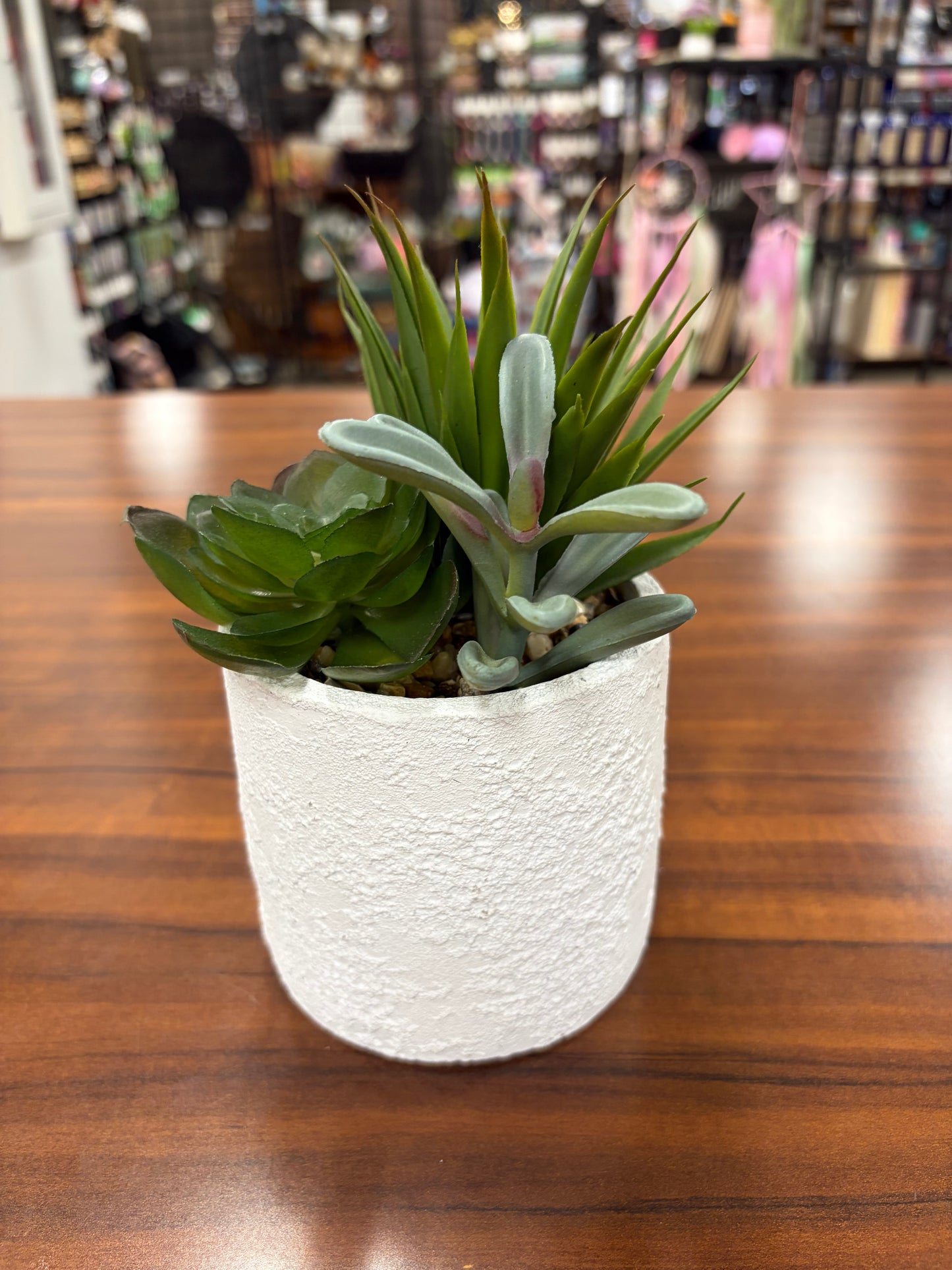 Plants
