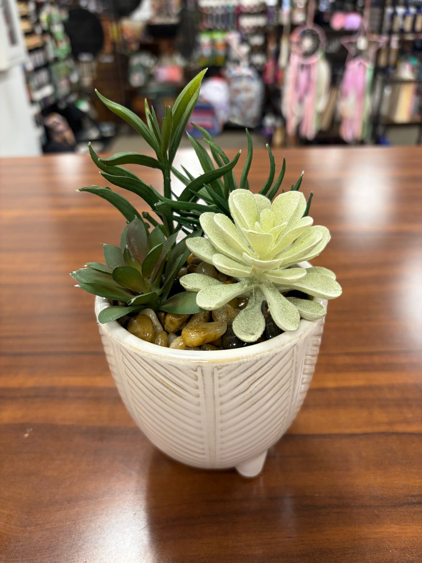 Plants