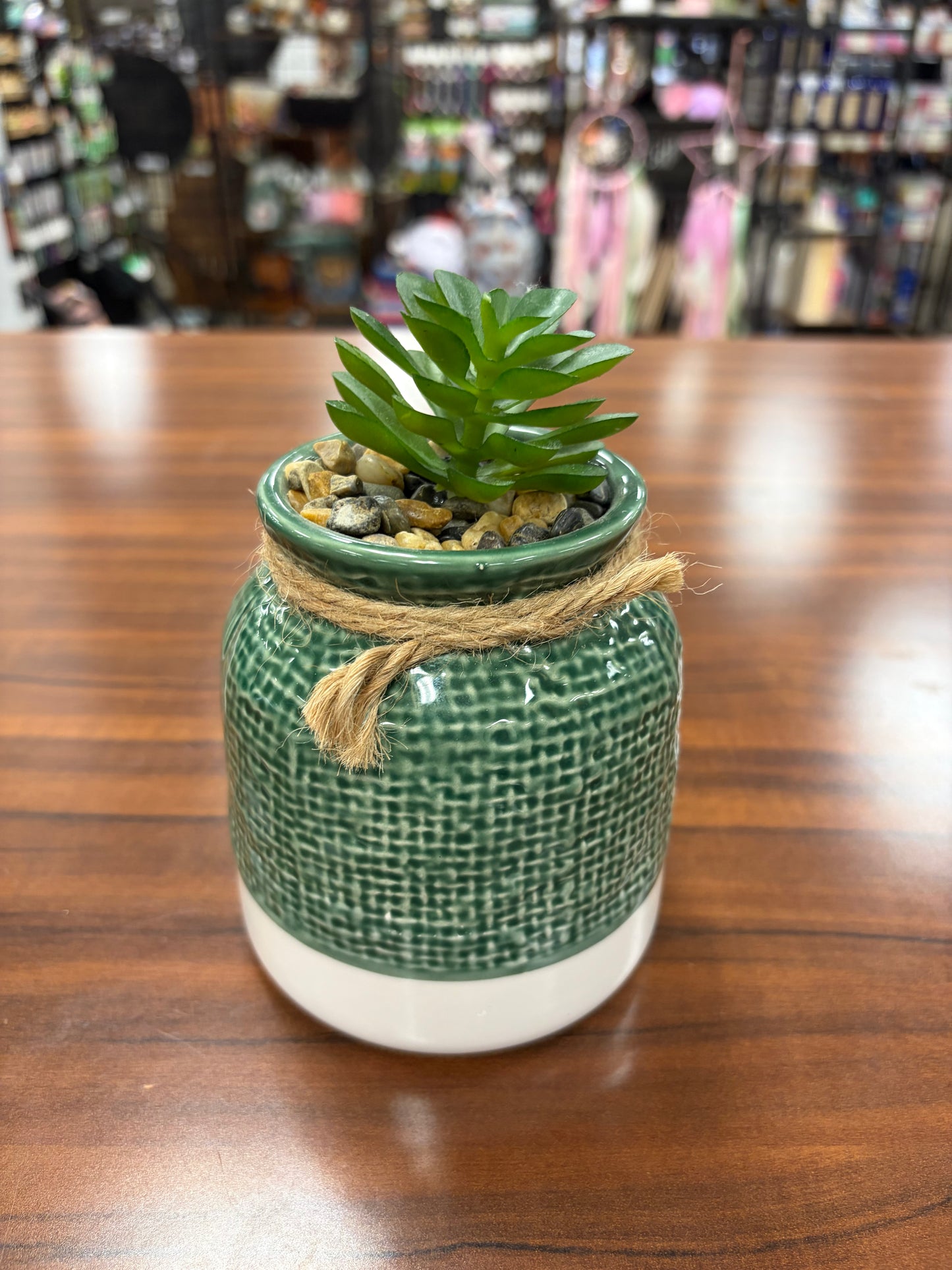 Plants