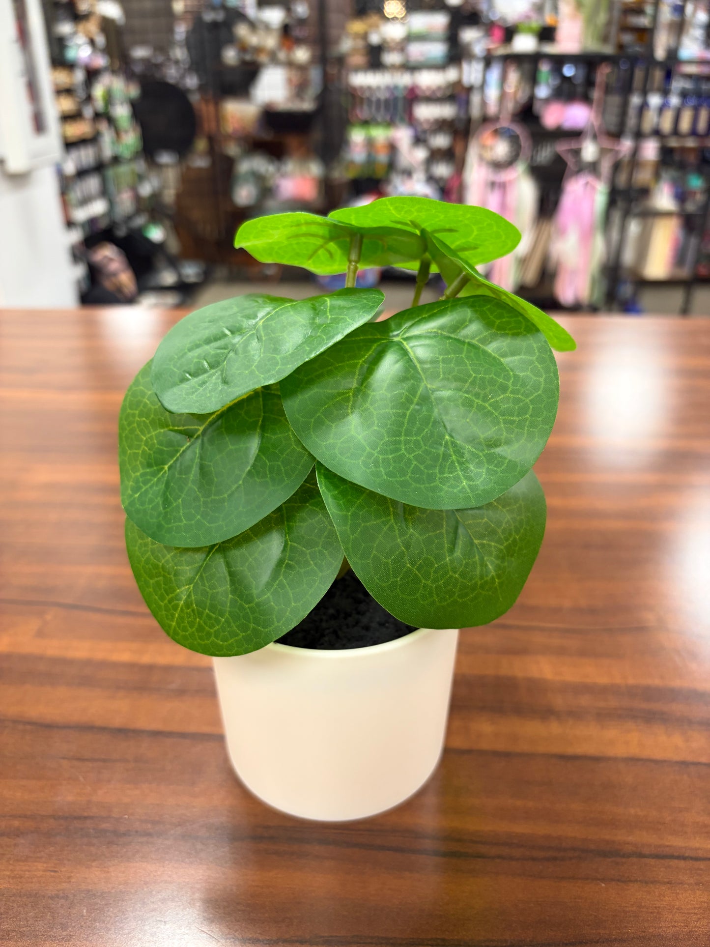 Plants