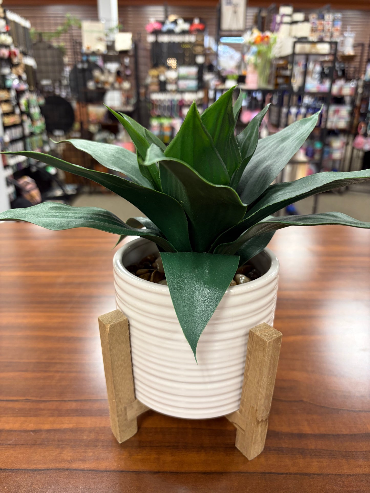 Plants